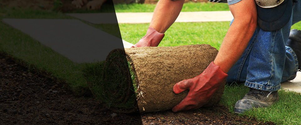 Grants Landscapers